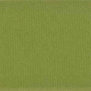 22mm Olive Green Silicone/Rubber NATO Military Watch Strap