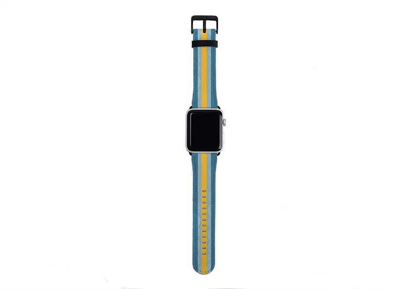 Apple Watch Strap- Madrid Chroma Stripe