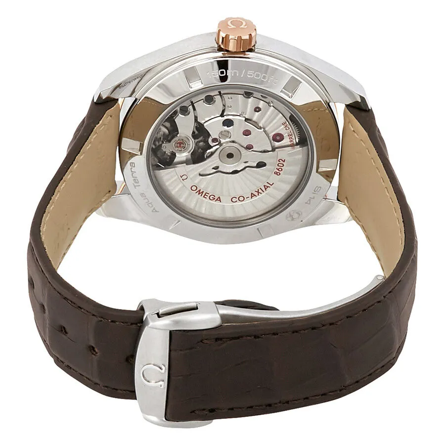 Omega Seamaster Aqua Terra Automatic Chronometer Men's Watch 231.23.42.22.06.001